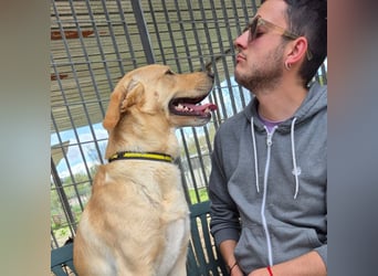 Akash - RESERVIERT - für mehr Lachen, Leben und Liebe in deinem Alltag