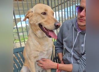 Akash - RESERVIERT - für mehr Lachen, Leben und Liebe in deinem Alltag