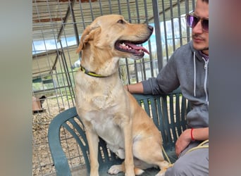 Akash - RESERVIERT - für mehr Lachen, Leben und Liebe in deinem Alltag