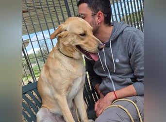 Akash - RESERVIERT - für mehr Lachen, Leben und Liebe in deinem Alltag