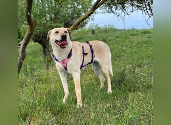Luna - liebt jeden!
