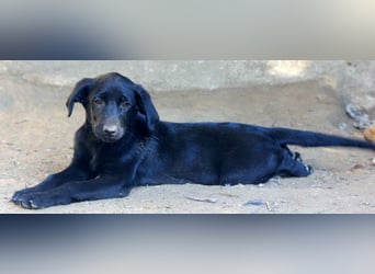 Twinki wartet auf sein Für-Immer-Zuhause Twinki wartet auf sein Für-Immer-Zuhause