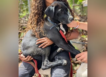 TUXEDO sucht sein Für-Immer-Zuhause