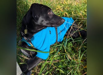 Twinki wartet auf sein Für-Immer-Zuhause