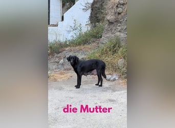 Twinki wartet auf sein Für-Immer-Zuhause Twinki wartet auf sein Für-Immer-Zuhause