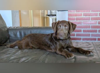 Winnie wartet auf seine Familie Winnie wartet auf seine Familie