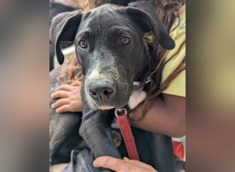 TUXEDO sucht sein Für-Immer-Zuhause