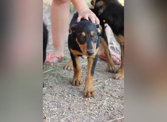 LOKI bringt das Feuer in Dein Leben!