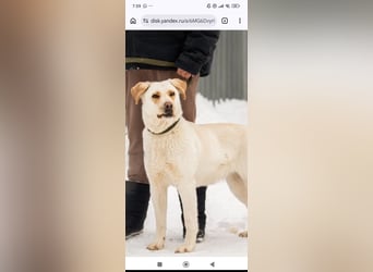 Leona sucht ihr Für -immer -Zuhause ❤️❤️❤️