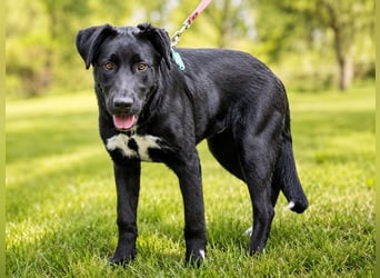 Clyde - großer Schmuser