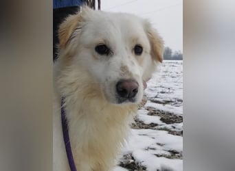 Fiona eine Schneekönigin