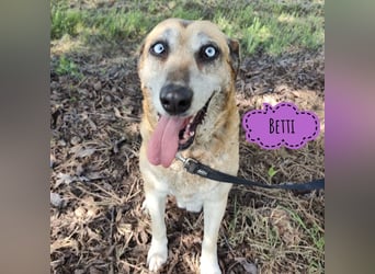 Betti ein Engel auf Erden
