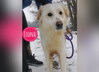 Fiona eine Schneekönigin