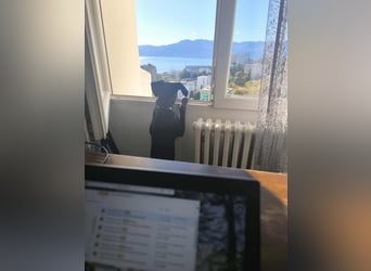 Kan braucht liebevolle Familie