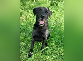 Gustav: rüstiger Rentner sucht Gnadenbrot!