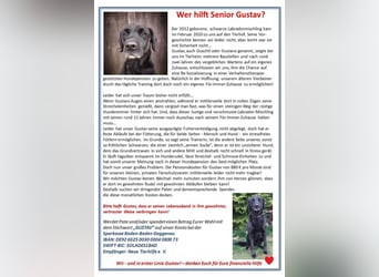 Gustav: rüstiger Rentner sucht Gnadenbrot!