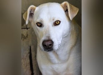 Luken - Zwei Seelen. Zwei Geschichten. Ein Ziel.