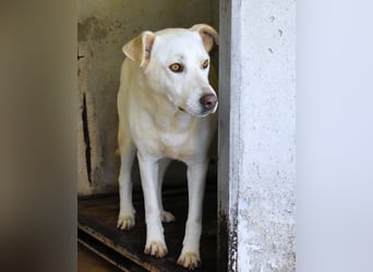 Luken - Zwei Seelen. Zwei Geschichten. Ein Ziel.