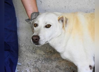 Luken - Zwei Seelen. Zwei Geschichten. Ein Ziel.