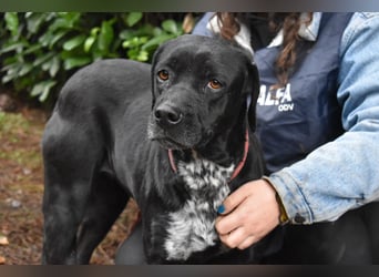 Giodith - Der Traum von einem eigenen Menschen soll wahr werden.