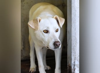 Luken - Zwei Seelen. Zwei Geschichten. Ein Ziel.