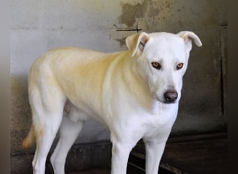 Luken - Zwei Seelen. Zwei Geschichten. Ein Ziel.