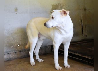 Luken - Zwei Seelen. Zwei Geschichten. Ein Ziel.