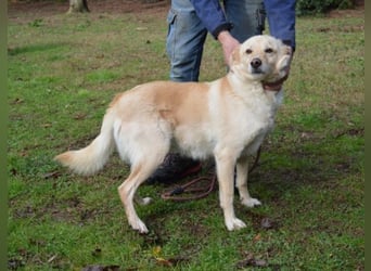 Dario - Warum eigentlich nicht ich?