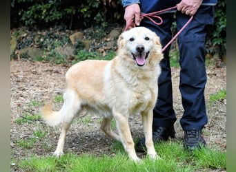 Dario - Warum eigentlich nicht ich?