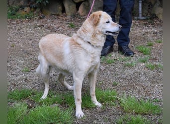 Dario - Warum eigentlich nicht ich?