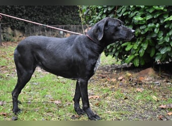 Giodith - Der Traum von einem eigenen Menschen soll wahr werden.