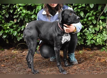 Giodith - Der Traum von einem eigenen Menschen soll wahr werden.