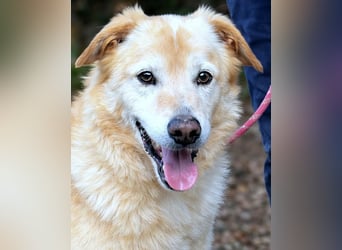 Dario - Warum eigentlich nicht ich?