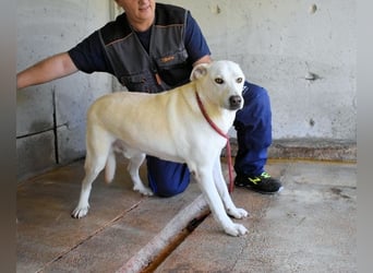 Luken - Zwei Seelen. Zwei Geschichten. Ein Ziel.