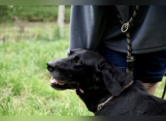 Titus - Hat jemand aus dem Fenster geschaut?