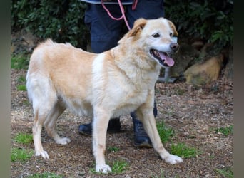 Dario - Warum eigentlich nicht ich?