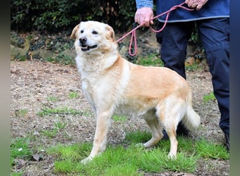 Dario - Warum eigentlich nicht ich?