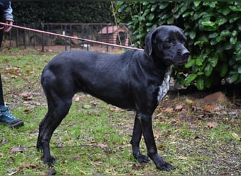 Giodith - Der Traum von einem eigenen Menschen soll wahr werden.