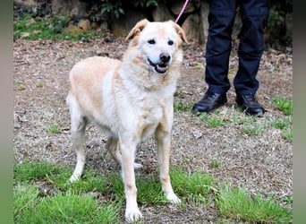 Dario - Warum eigentlich nicht ich?