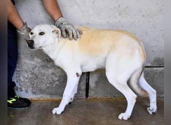 Luken - Zwei Seelen. Zwei Geschichten. Ein Ziel.