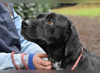 Giodith - Der Traum von einem eigenen Menschen soll wahr werden.