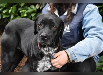 Giodith - Der Traum von einem eigenen Menschen soll wahr werden.