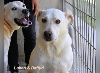 Luken - Zwei Seelen. Zwei Geschichten. Ein Ziel.