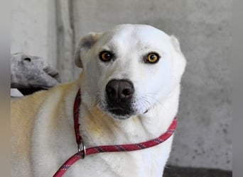 Luken - Zwei Seelen. Zwei Geschichten. Ein Ziel.