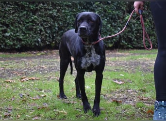 Giodith - Der Traum von einem eigenen Menschen soll wahr werden.