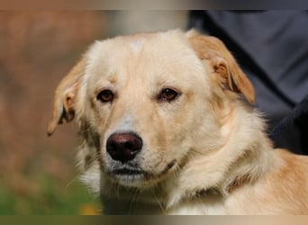 Dario - Warum eigentlich nicht ich?