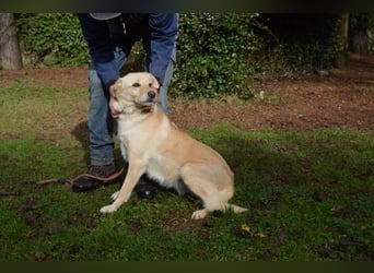 Dario - Warum eigentlich nicht ich?