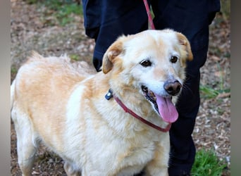 Dario - Warum eigentlich nicht ich?