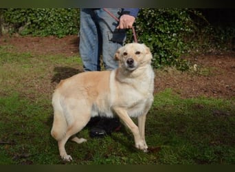 Dario - Warum eigentlich nicht ich?