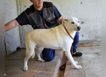 Luken - Zwei Seelen. Zwei Geschichten. Ein Ziel.